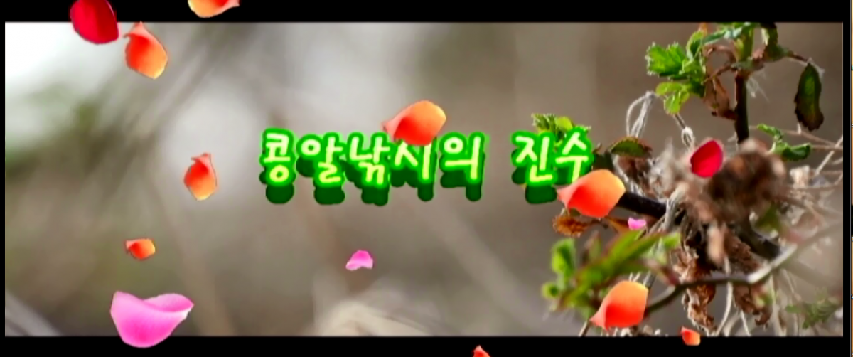 8a7bc9c6b3d670b63180f9b6f53718ed_1649120506_02.PNG