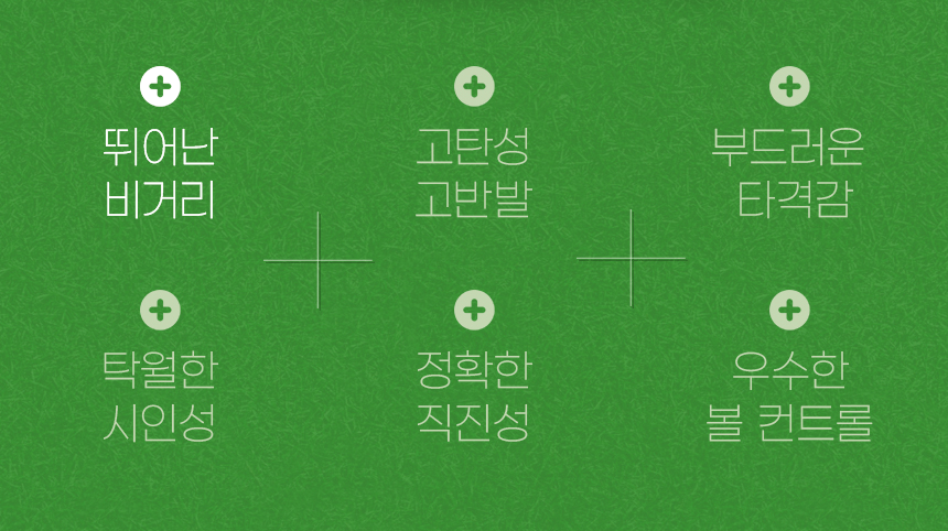 리젠트파크골프공