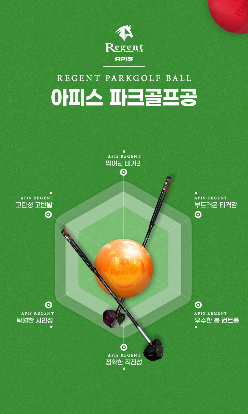 리젠트파크골프공