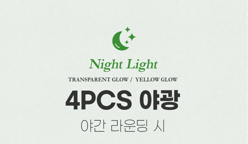 리젠트파크골프공