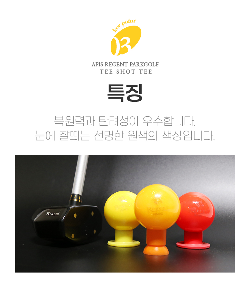 리젠트파크골프티샷티