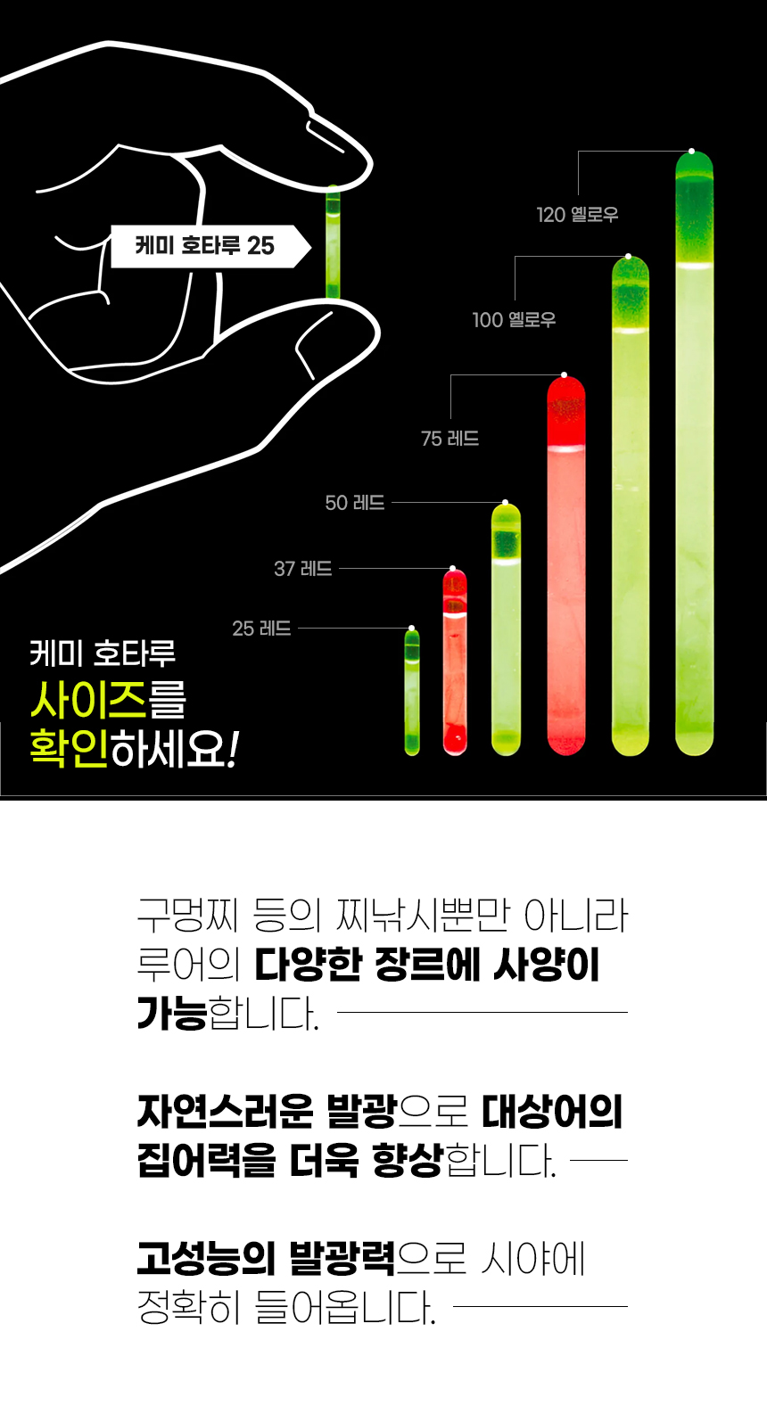 루미카 케미 호타루 