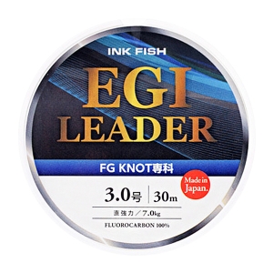 ䷹ ䷹ ⸮ EGI LEADER 30m ǰ̹